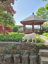 Gahoe-dong Villa