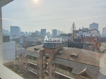 Cheongdam-dong Apartment (High-Rise)