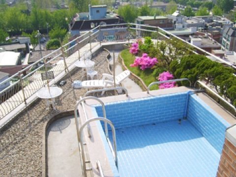 Itaewon-dong Villa